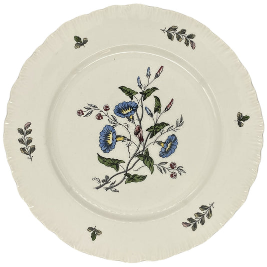 Wedgwood Williamsburg Wild Flowers TK511 Dinner Plate